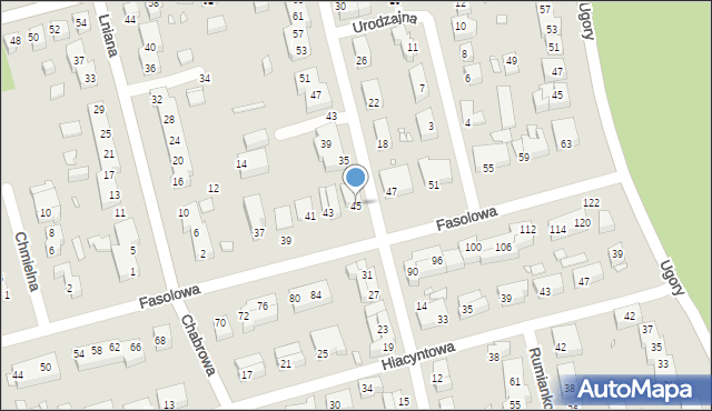 Toruń, Fasolowa, 45, mapa Torunia