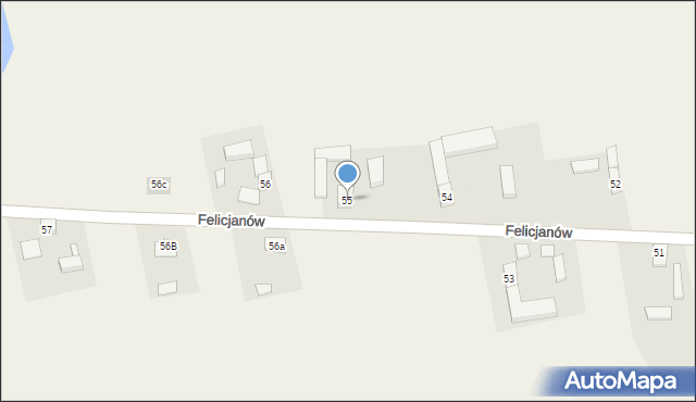 Felicjanów, Felicjanów, 55, mapa Felicjanów
