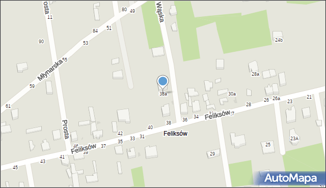 Skierniewice, Feliksów, 38a, mapa Skierniewic