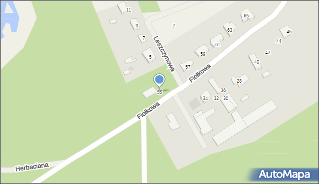 Czapielsk, Fiołkowa, 55, mapa Czapielsk