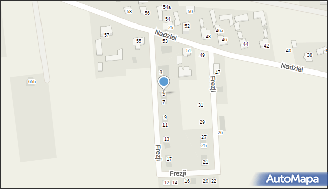 Boryszew, Frezji, 5, mapa Boryszew