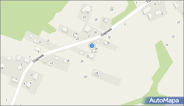 Bolechowice, Gajowa, 24, mapa Bolechowice