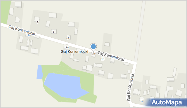 Gaj Koniemłocki, Gaj Koniemłocki, 12, mapa Gaj Koniemłocki