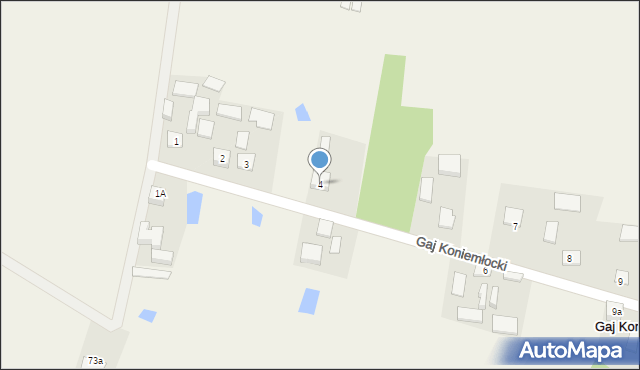 Gaj Koniemłocki, Gaj Koniemłocki, 4, mapa Gaj Koniemłocki