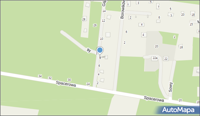 Iły, Gąski, 8, mapa Iły