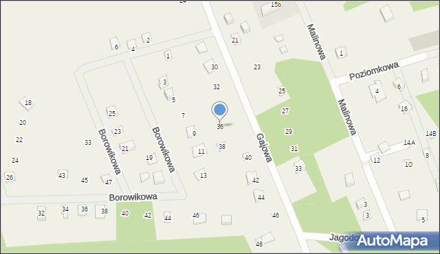 Sasino, Gajowa, 36, mapa Sasino