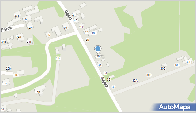Warszawa, Gąsek, 38, mapa Warszawy