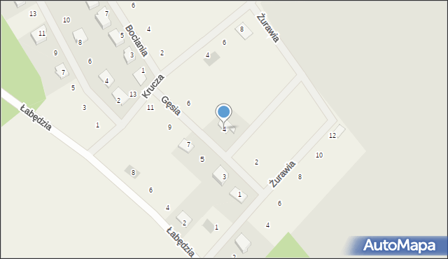 Dolaszewo, Gęsia, 4, mapa Dolaszewo