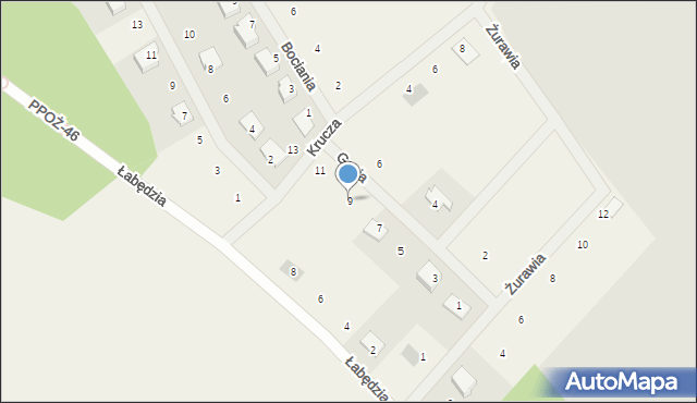Dolaszewo, Gęsia, 9, mapa Dolaszewo