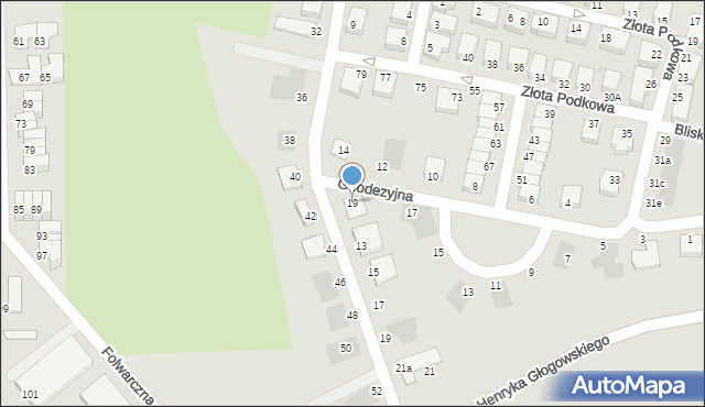 Głogów, Geodezyjna, 19, mapa Głogów