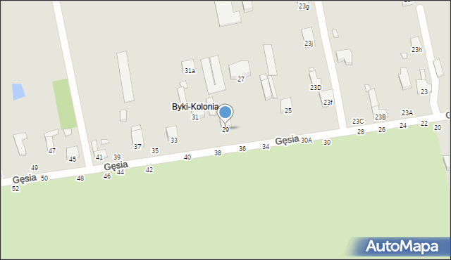 Piotrków Trybunalski, Gęsia, 29, mapa Piotrków Trybunalski