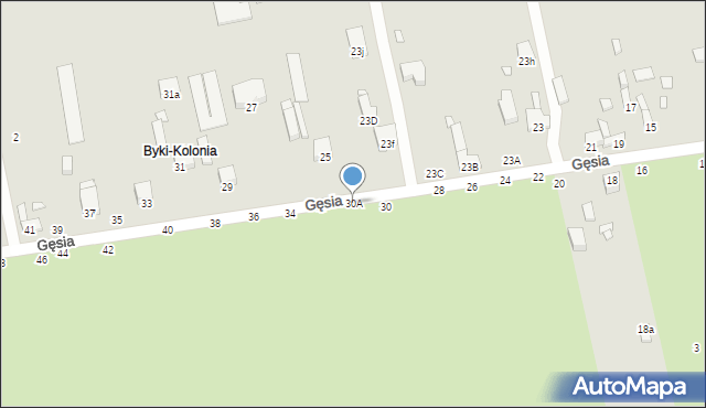 Piotrków Trybunalski, Gęsia, 30A, mapa Piotrków Trybunalski