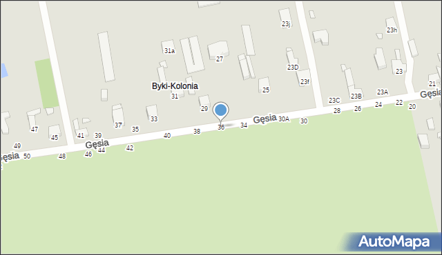 Piotrków Trybunalski, Gęsia, 36, mapa Piotrków Trybunalski