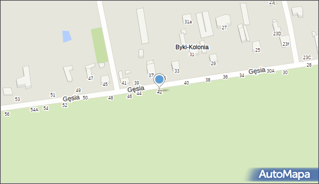 Piotrków Trybunalski, Gęsia, 42, mapa Piotrków Trybunalski