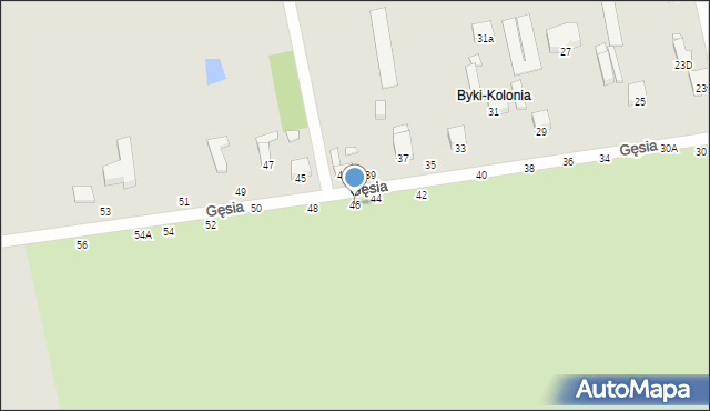 Piotrków Trybunalski, Gęsia, 46, mapa Piotrków Trybunalski