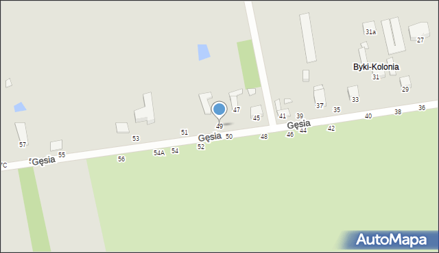 Piotrków Trybunalski, Gęsia, 49, mapa Piotrków Trybunalski