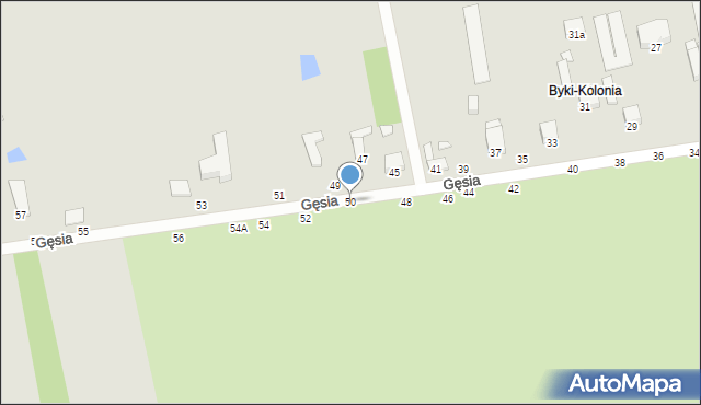 Piotrków Trybunalski, Gęsia, 50, mapa Piotrków Trybunalski