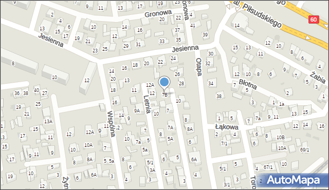 Płock, Gęsia, 7B, mapa Płock