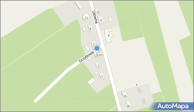 Cieciorka, Główna, 5, mapa Cieciorka