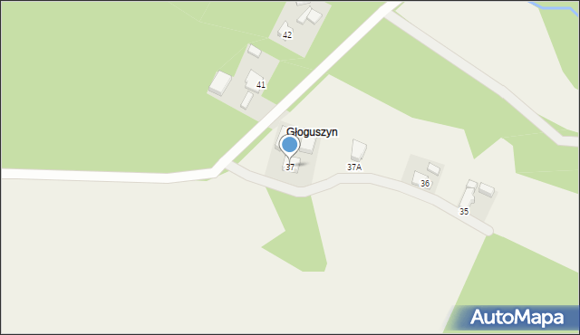 Głogusz, Głogusz, 37, mapa Głogusz