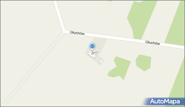 Głuchów-Lasy, Głuchów-Lasy, 16, mapa Głuchów-Lasy
