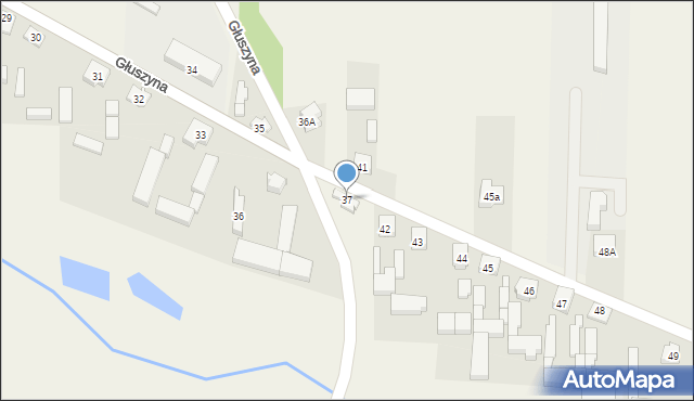 Głuszyna, Głuszyna, 37, mapa Głuszyna