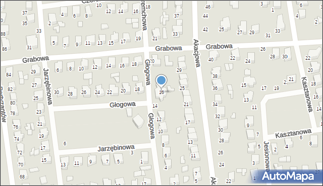 Opoczno, Głogowa, 16, mapa Opoczno