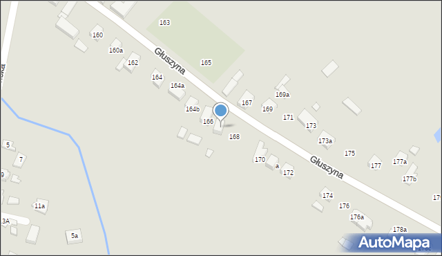 Poznań, Głuszyna, 166a, mapa Poznania