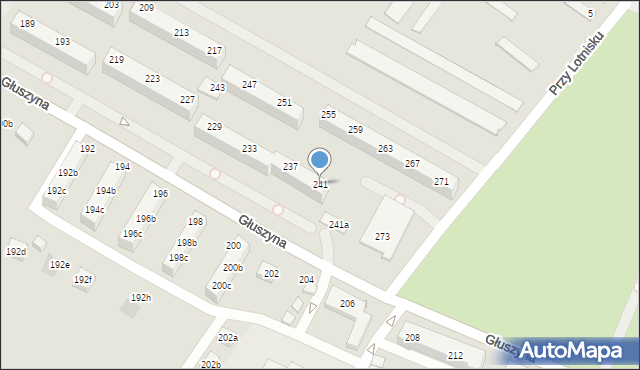 Poznań, Głuszyna, 241, mapa Poznania