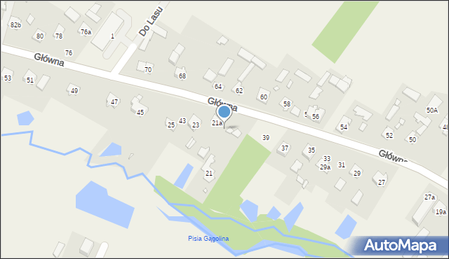 Radziejowice, Główna, 41, mapa Radziejowice