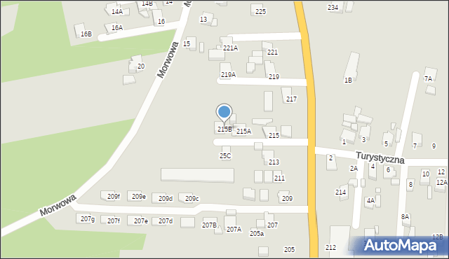 Rybnik, Gliwicka, 215B, mapa Rybnika