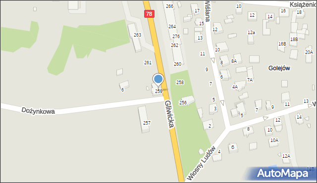 Rybnik, Gliwicka, 259, mapa Rybnika