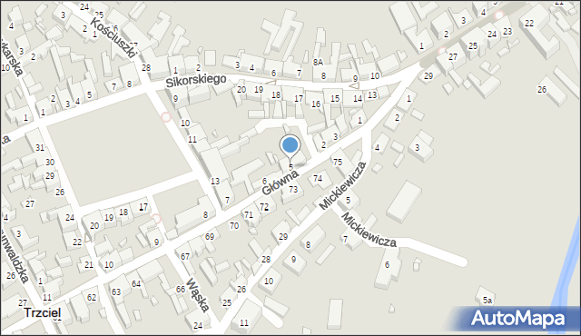 Trzciel, Główna, 5, mapa Trzciel