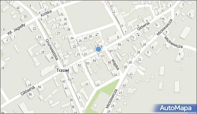 Trzciel, Główna, 65, mapa Trzciel