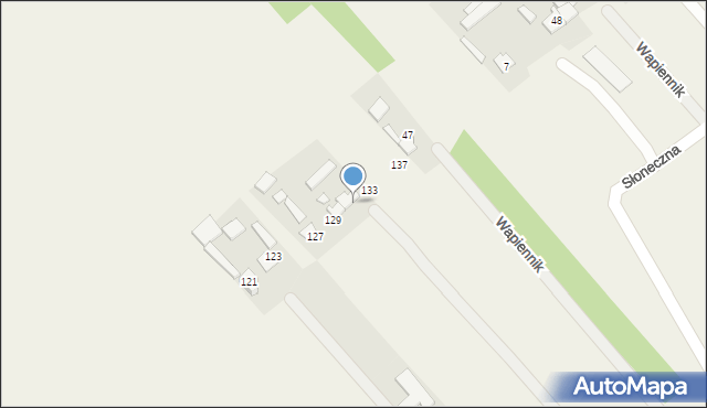 Wapiennik, Główna, 131, mapa Wapiennik