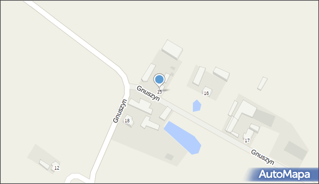 Gnuszyn, Gnuszyn, 15, mapa Gnuszyn