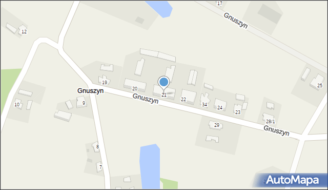 Gnuszyn, Gnuszyn, 21, mapa Gnuszyn