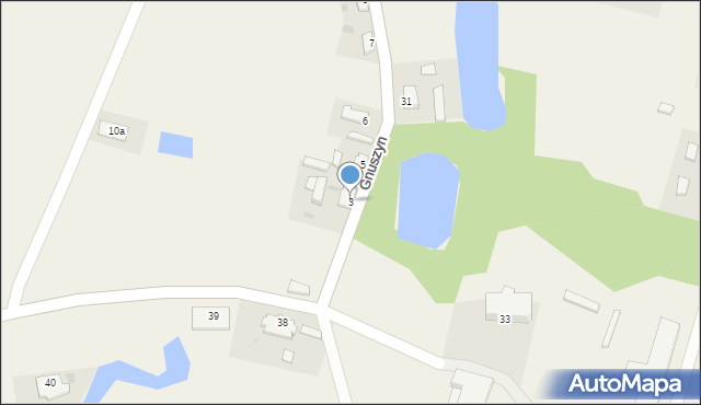 Gnuszyn, Gnuszyn, 3, mapa Gnuszyn