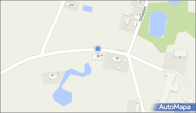Gnuszyn, Gnuszyn, 39, mapa Gnuszyn