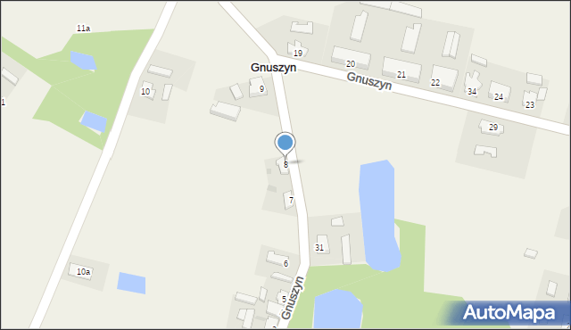 Gnuszyn, Gnuszyn, 8, mapa Gnuszyn