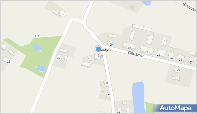 Gnuszyn, Gnuszyn, 9, mapa Gnuszyn