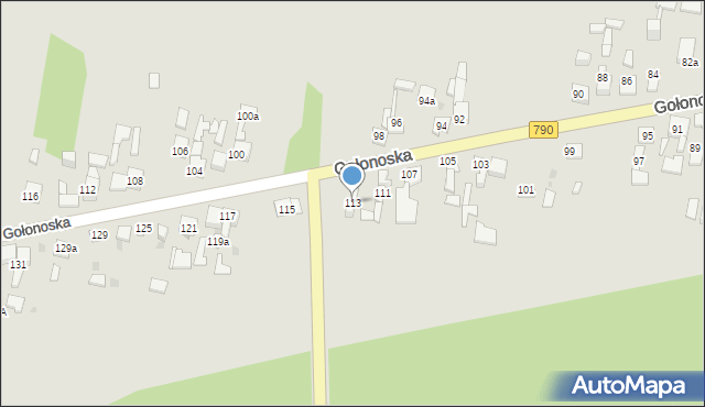 Dąbrowa Górnicza, Gołonoska, 113, mapa Dąbrowa Górnicza