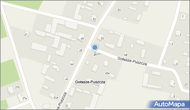 Gołasze-Puszcza, Gołasze-Puszcza, 45, mapa Gołasze-Puszcza