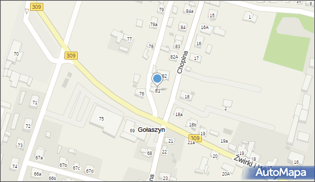 Gołaszyn, Gołaszyn, 81, mapa Gołaszyn
