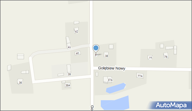 Gołębiew Nowy, Gołębiew Nowy, 37, mapa Gołębiew Nowy