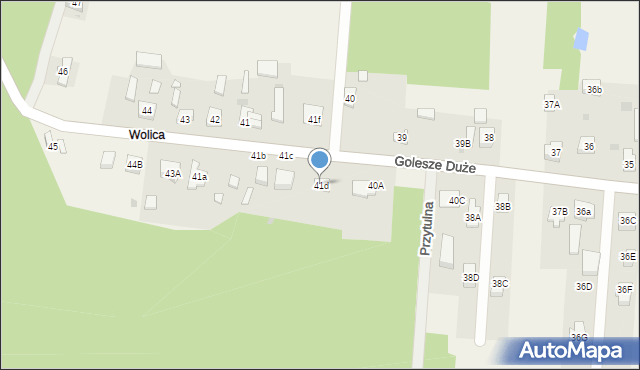 Golesze Duże, Golesze Duże, 41d, mapa Golesze Duże