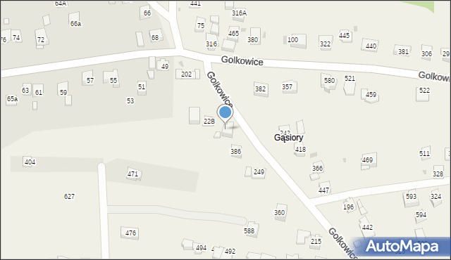 Golkowice, Golkowice, 228A, mapa Golkowice