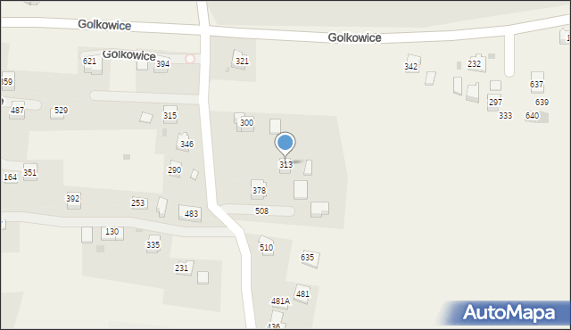 Golkowice, Golkowice, 313, mapa Golkowice
