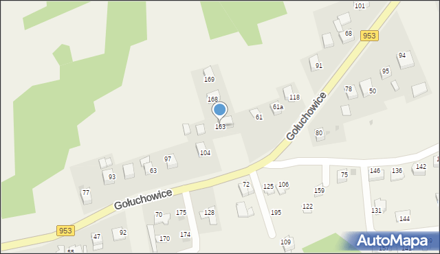 Gołuchowice, Gołuchowice, 163, mapa Gołuchowice