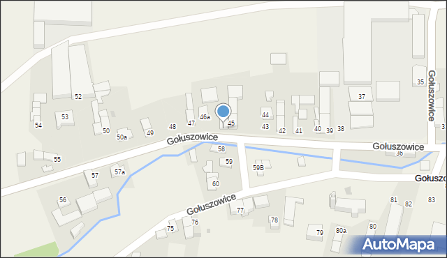 Gołuszowice, Gołuszowice, 46, mapa Gołuszowice